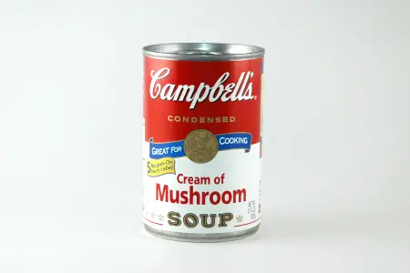 Light box soup can