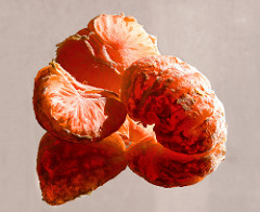 clementine pieces