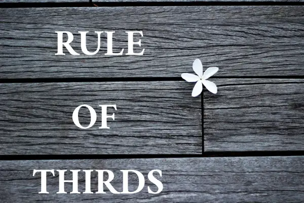 rule-of-thirds-1