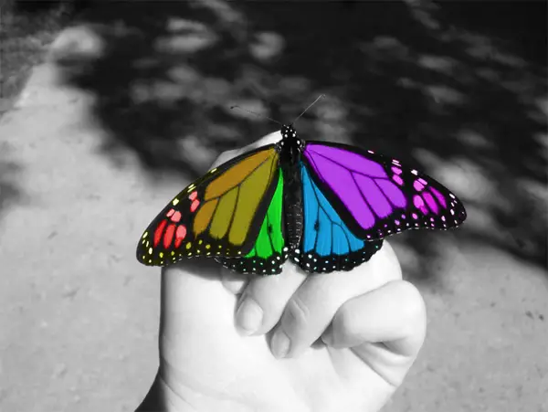 19-color-splash-butterfly-hand