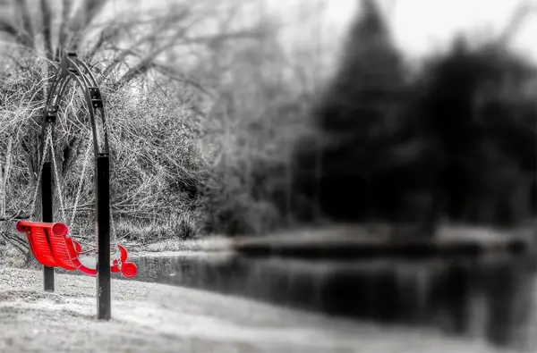 5-black-white-red-park-lake-swing