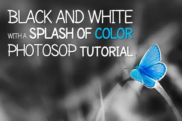 Black and White with a Splash of Color Photosop Tutorial