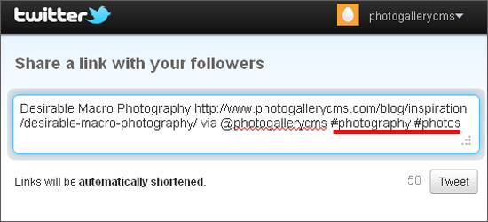 twitter photography hashtags