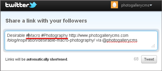 twitter photography hashtags