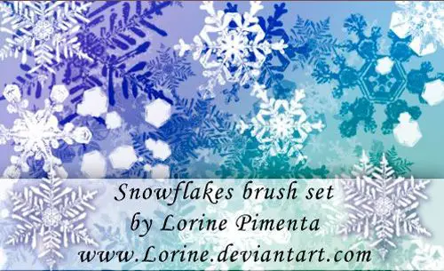 Snow Flakes Brush Set