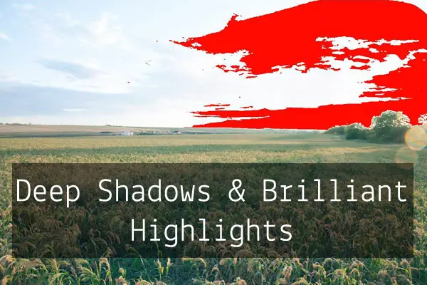 Deep Shadows and Brilliant Highlights