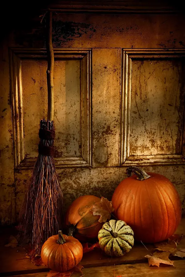 halloween night pumpkin