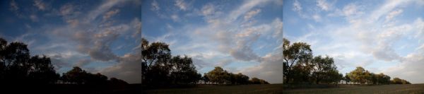 bracketing-pg