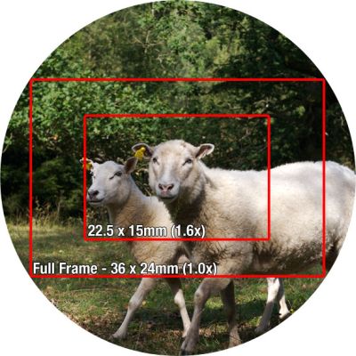crop-factor-photo
