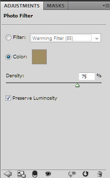 Sepia Photo Filter 75 Density