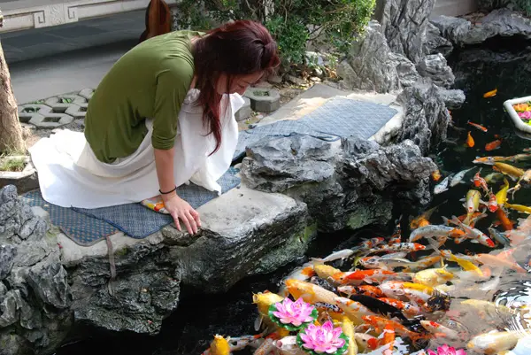 1-woman-feeding-fish