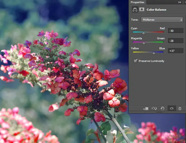 Adjust the color balance for the Midtones.