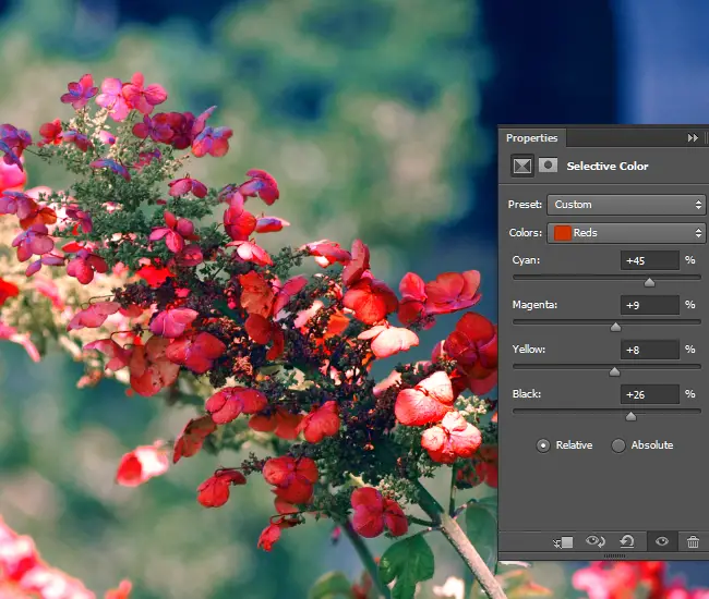 Adjust the intensity of the CMYK values for the red areas of the photo. 