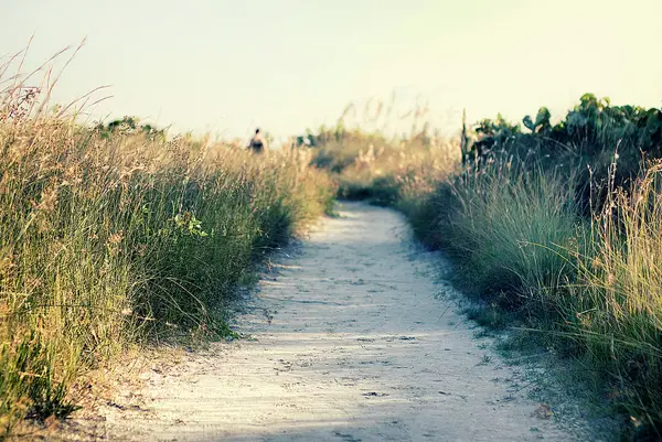 Sometimes the better shots aren't even on the beach itself.