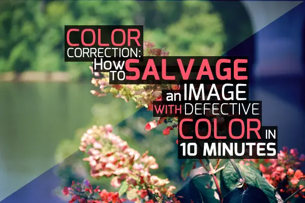 Color Correction: How to Salvage An Image With Defective Color in 10 Minutes