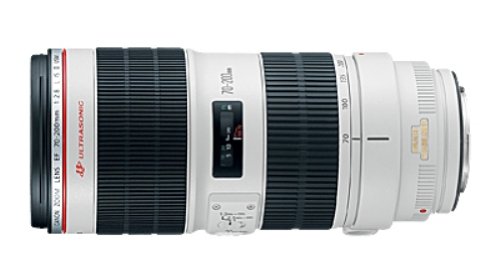 Canon Lens 1
