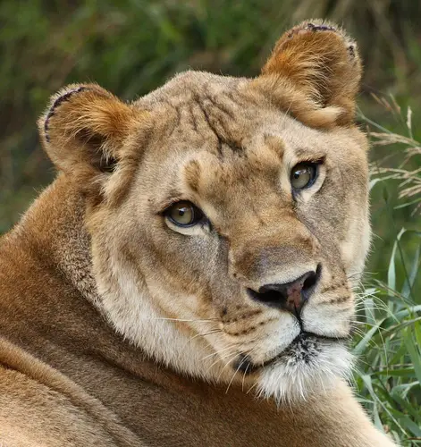 Canon Lens 3 Example Photo