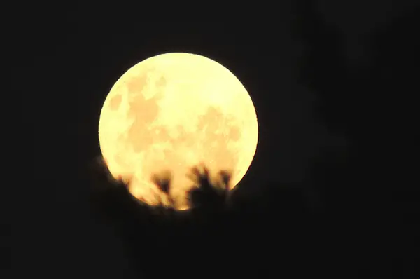 The point of reference is the tree branches, which add to the spooky-yet-esoteric quality of the image. Photo by PROPsJeremy