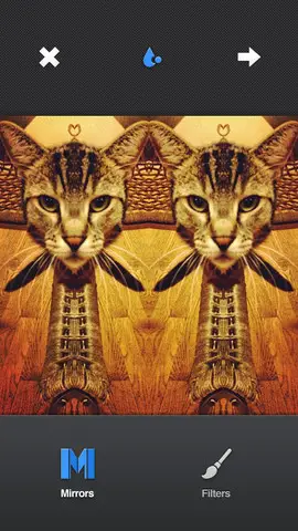 Mirrorgram