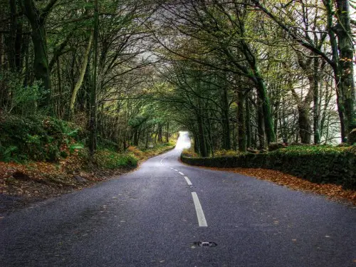 I took this picture on a quite back road in England. When including roads in landscapes always stand in the centre of the road as this gives the image a far more powerful perspective