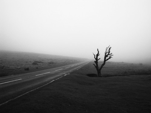 The weather wont always be on your side, just as it wasn't the day I took this photograph, but then without being too modest a good photographer can make use of any situation including a thick fog!