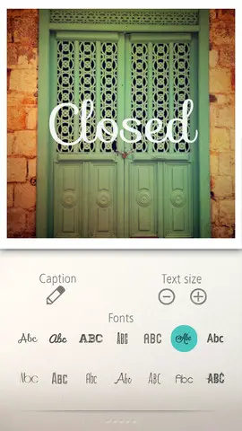 Typic