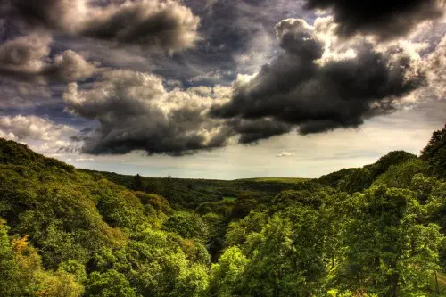 Landscape photography isn't always about the land, as you can see here the trees might be lush and green, but I noticed that the sky was far more interesting