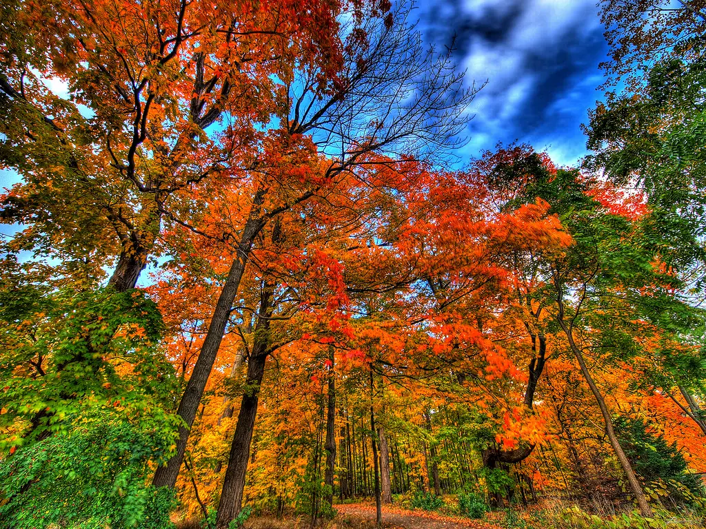 HDR and the Fall go together like peas and carrots