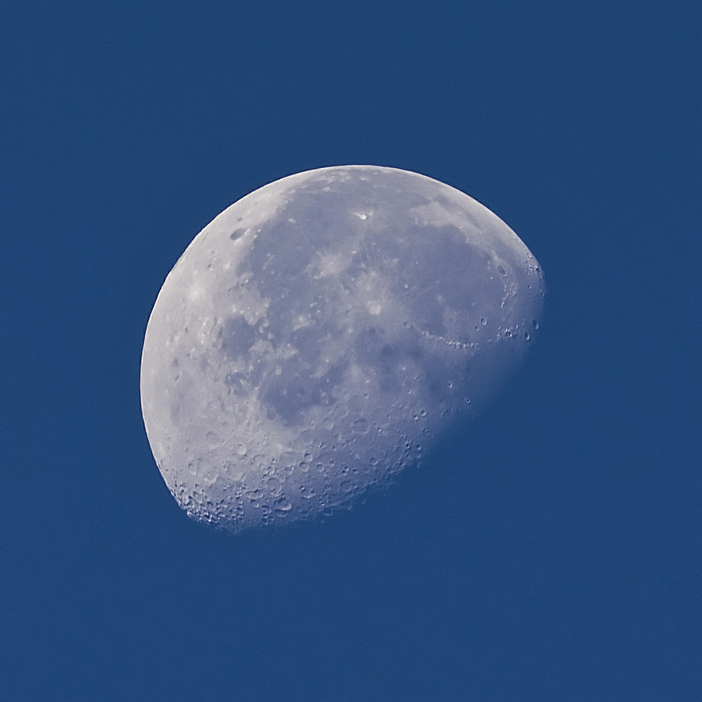 With a good zoom lens and tripod, you can get some seriously good day time images of the moon