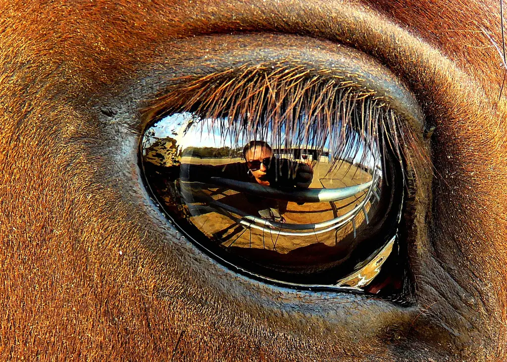 Self portraits are often chosen, however try mixing this up by doing something different, like reflections of yourself in unusual places