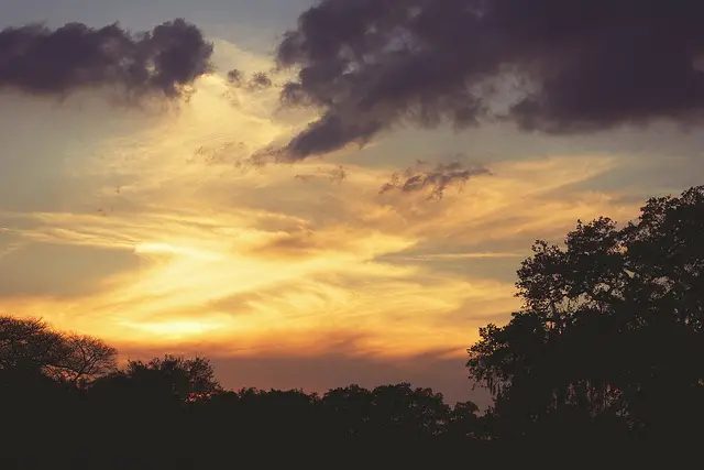 This shot wouldn't be as interesting if it hadn't been taken near sunset. The purple clouds, warm glow, and stark silhouettes would not have been possible if we had taken this shot at midday.