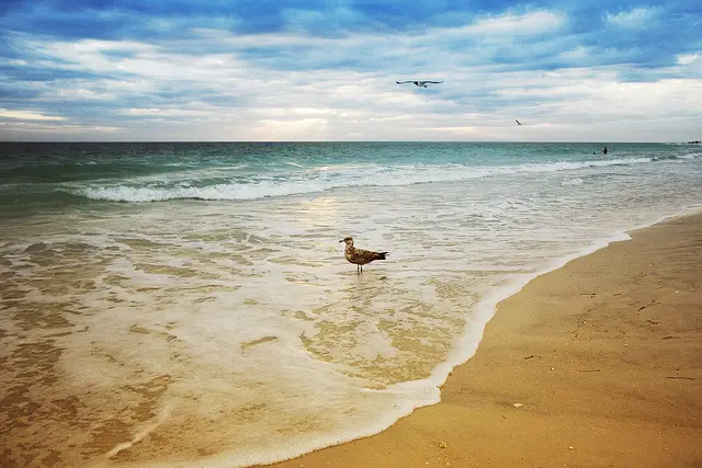 Since the foam of the water on the beach is the more interesting portion, we've allowed it to consume the bottom two-thirds of the photo, and have left the upper third for the sky.