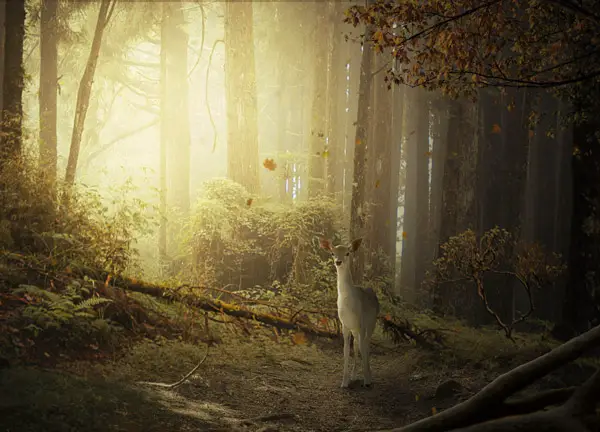 Create a fantasy deer photo manipulation in Photoshop