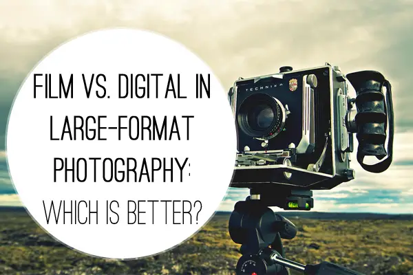 Film vs. Digital in Large-format Photography: Which Is Better?