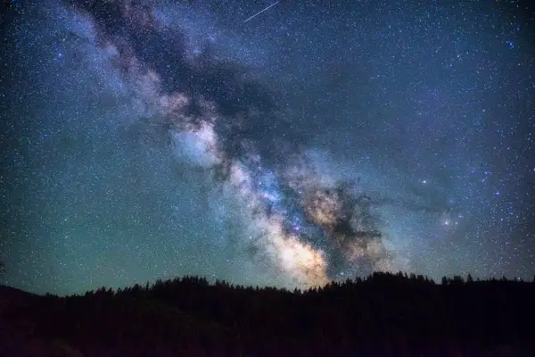 milky way over trees