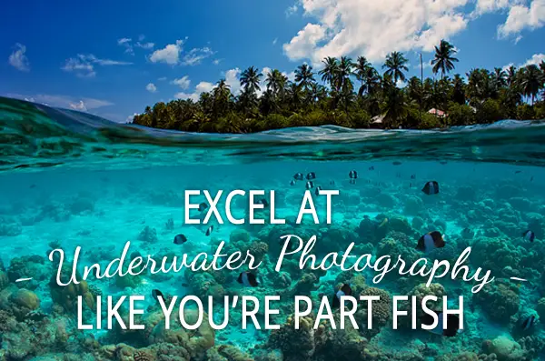 Excel at Underwater Photography Like You’re Part Fish