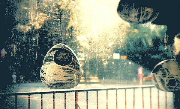 Photo by