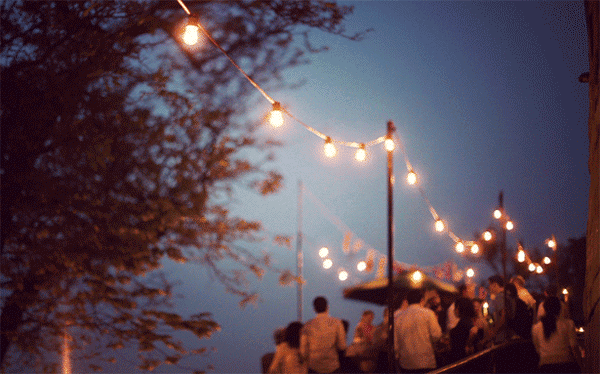 Photo by