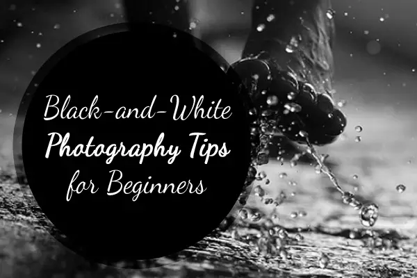 Black-and-White Photography Tips for Beginners
