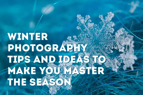 Winter Photography Tips and Ideas to Make You Master the Season