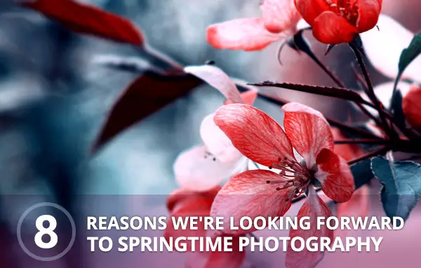 8 Reasons We’re Looking Forward to Springtime Photography