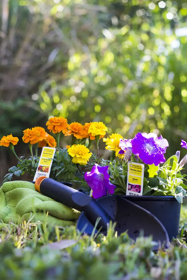 Spring Gardening - Tim Gilbreath