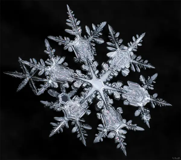 Starburst Snowflake by Don Komarechka