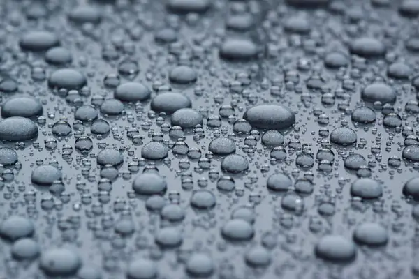 Focus on rain drops Focus on rain drops