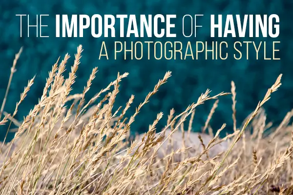 The Importance of Having a Photographic Style