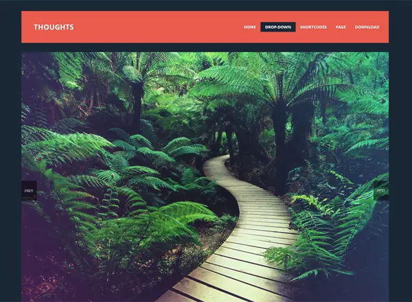 free photography wordpress themes