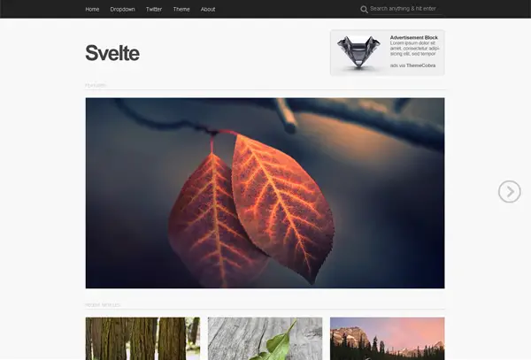 free photography wordpress themes