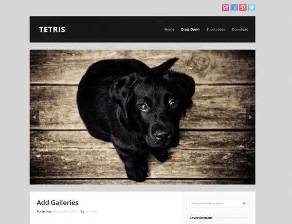 free photography wordpress themes