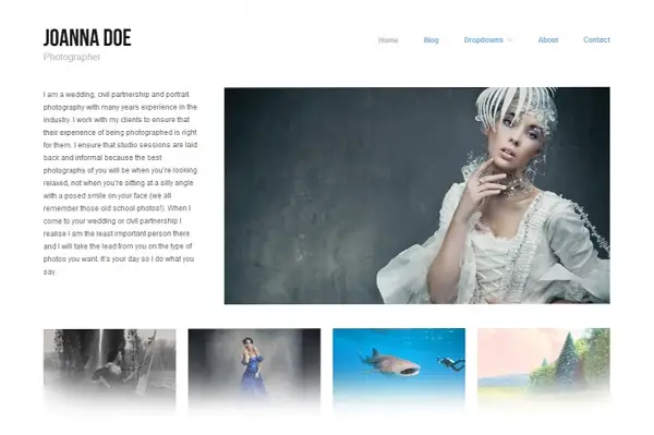 free photography wordpress themes