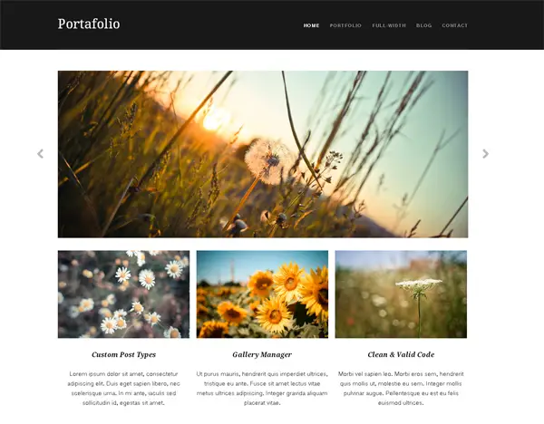 free photography wordpress themes